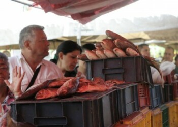 Pargo blanco, tajalí, sardinas, curbina, pescado seco y como rubro especial camarón, fueron algunas de las especies ofrecidas por esta feria que expendió en su primer día de jornada siete toneladas. ARCHIVO