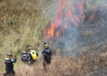 ) La semana pasada fueron combatidos 190 incendios en toda la entidad.