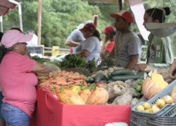 Entre los rubros agrícolas que influyen en la inflación nacional están la papa, el tomate, la zanahoria, la cebolla, y el pimentón. Están dentro de los primeros rubros que más consumen los venezolanos, en materia de vegetales
