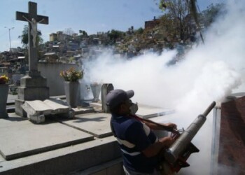 Dando la batalla a las enfermedades vectoriales como el dengue, zika y chikungunya, causadas por el al zancudo Aedes Aegypti.