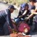 Bomberos de Miranda superan la cifra de 500 servicio prestados a los temporadistas. ARCHIVO