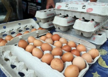 Cartón de huevos está siendo ofrecido en Bs. 2.000. ARCHIVO