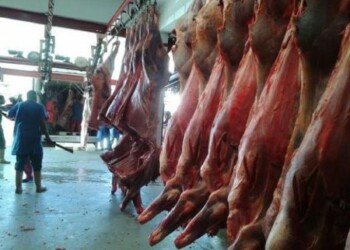 La mañana de este martes fueron despachadas las últimas 134 toneladas de productos cárnicos