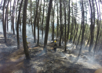 Desconocen qué inició el incendio. El  jueves se reportaba el inició de otro en el dique de Agua Fría.