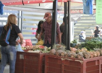 Hasta 50% de ahorro tendrán los mirandinos