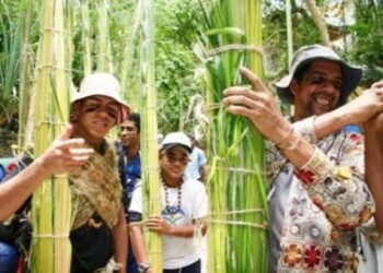 En Venezuela existen solo 3 asociaciones de palmeros, una en la isla de Margarita y dos en el estado Miranda