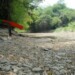 Desaparecieron las piscinas naturales en menos de 20 días.