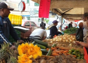 Las ventas iniciarán temprano al igual que el resto de la Feria Agrícola.