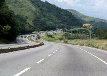El camión que conducía se quedó sin frenos y cayó al vacío en una curva de la mencionada vía expresa. ARCHIVO