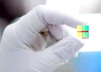 El gigante tecnológico Toshiba y la Universidad de Osaka (centro) han desarrollado un sensor que detecta los virus infecciosos en unos cinco minutos,
