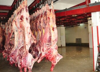 Se despacharon 47 toneladas de carne
