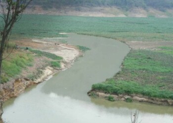 La diputada Clara Mirabal insistió en que han sido muchas las denuncias en materia ambiental sobre el problema de este embalse que surte a la región altomirandina
