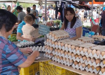 El huevo pasó de ser un producto popular a uno de lujo