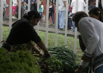 Las frutas y hortalizas son más económicas en los mercaditos