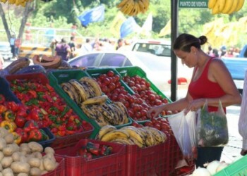 Frutas a precios solidarios, hortalizas vegetales, carne a precios que no superan los Bs. 2600 por kilogramo son algunos de los rubros que pueden comprarse en estas jornadas. ARCHIVO