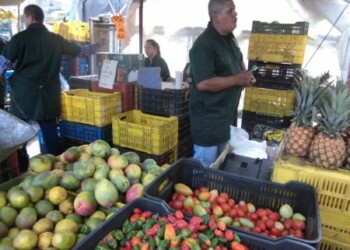 Otro inconveniente con el que se topan las personas a la hora de comprar el tomate es que no hay variedad