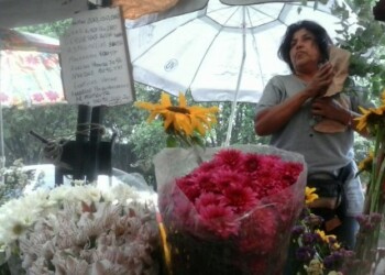 En los Altos Mirandinos se siembran al año miles de rosas.ARCHIVO