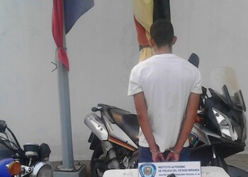 El antisocial pretendía huir en posesión de las piezas hurtadas