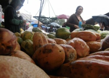 Frutas como patilla, melón y lechosa se expenden en trozos de un cuarto y medio kilo