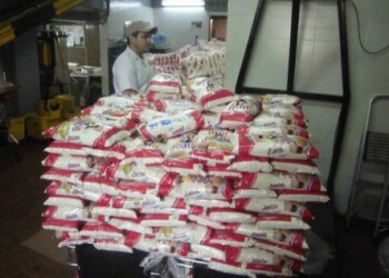 Colas corrieron tranquilas este martes por harina de maíz