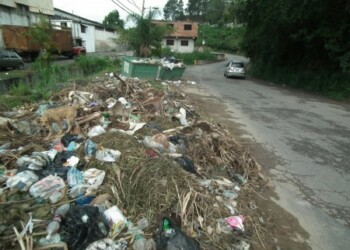 Animales pasaron por el proceso de castración con éxito