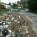 Animales pasaron por el proceso de castración con éxito