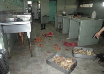 Choros han arrasado con la comida almacenada en las cocinas de los planteles