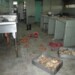 Choros han arrasado con la comida almacenada en las cocinas de los planteles