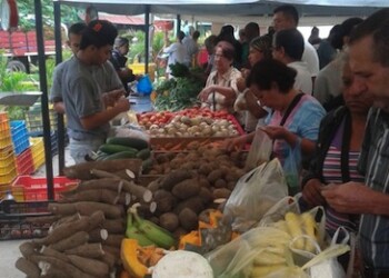 Para la feria que se instalará en San Pedro se destinan media tonelada de pollo, media de charcutería y media de queso