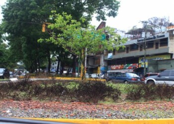 La redoma fue recuperada hace un año para la inauguración de la circunvalación Los Teques, hoy luce abandonada