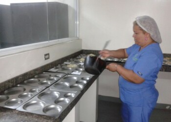 La condición proteica que aportan las carnes se suministro a través de otros alimentos