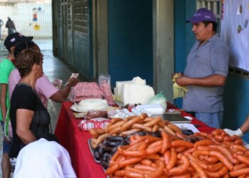 La Llovizna, Lagunetica, San Pedro y El jarillo se sumaron a la iniciativa