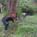 Trabajan para evitar estragos de cara a la llegada formal de las lluvias.