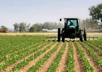 Los cultivos de OGM no representan mayores riesgos para el medio ambiente y la salud que los convencionales.