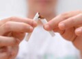 Las toxinas del cigarrillo y el alcohol se interponen en las funciones del organismo.