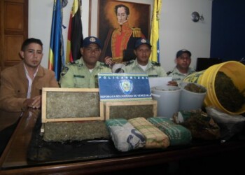 Incautaron la marihuana a un presunto agricultor de la zona