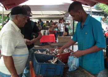 El kilo de sardina a Bs 350 se ha vuelto la opción en los hogares