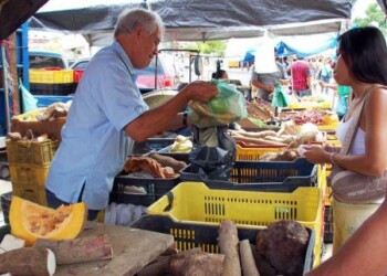 Darle la bienvenida a frutas, hortalizas y vegetales.
