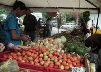 Otro inconveniente con el que se topan las personas a la hora de comprar el tomate es que no hay variedad