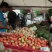 Otro inconveniente con el que se topan las personas a la hora de comprar el tomate es que no hay variedad