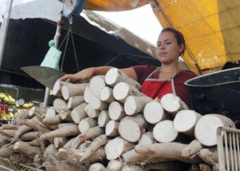 La alta demanda de la yuca disparó su costo.