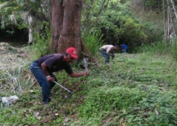 90 mil metros lineales de maleza fueron removidos de las comunidades guaicaipureñas