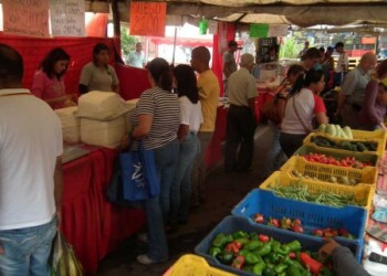 Precio del tomate sorprende a tequeños. Foto: Archivo