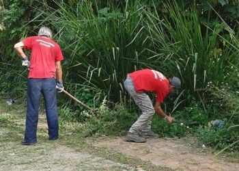 Labores fueron ejecutadas de manera simultánea.
