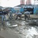 A toda velocidad marchan trabajos en la calle Guaicaipuro de Los Teques