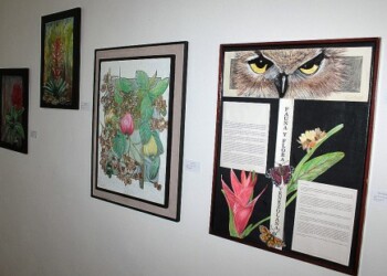 La Casa Museo exhibe las pinturas de Teresa Montaguplli