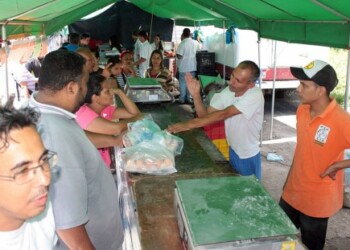El queso popular es el producto de mayor salida en las charcuterías