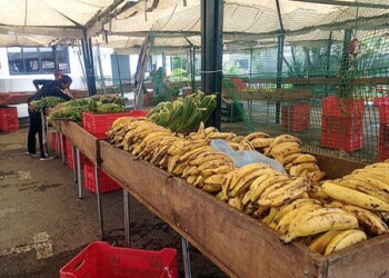 Amas de casa “cazan” ofertas en ferias y mercados municipalesAmas de casa “cazan” ofertas en ferias y mercados municipales