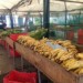 Amas de casa “cazan” ofertas en ferias y mercados municipalesAmas de casa “cazan” ofertas en ferias y mercados municipales