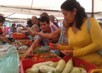 Aquellos que llevaron los rubros agrícolas se mostraron satisfechos con la compra